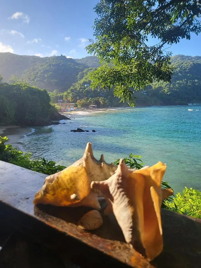 Alibaba'S Seabreeze Apartment Castara Trinidad And Tobago